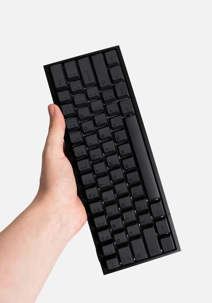 m5_cat_01.jpg m5_cat_01.jpg